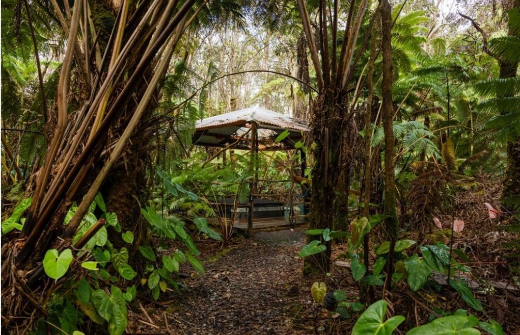 Halema'Uma'U- Hale Kumu La'Au Villa Volcano Exterior foto